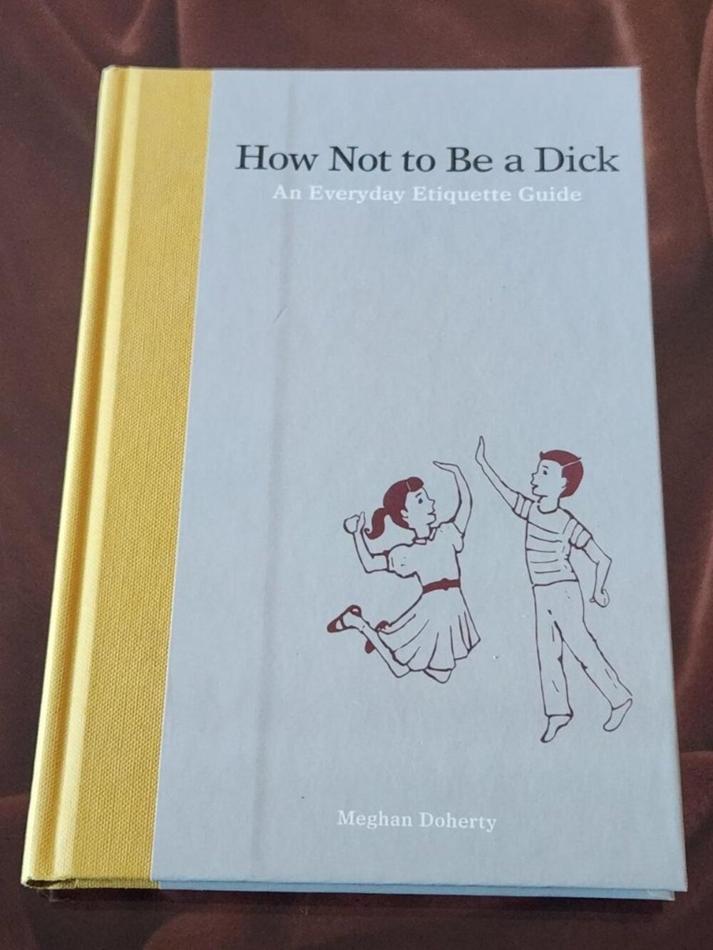 How Not to Be a Dick: An Everyday Etiquette Guide by Meghan Doherty